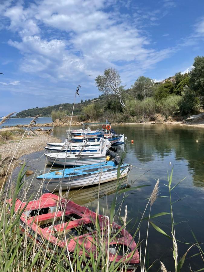 شقة Zoel'S House In Chalkidiki أغيا باراسكيفي المظهر الخارجي الصورة