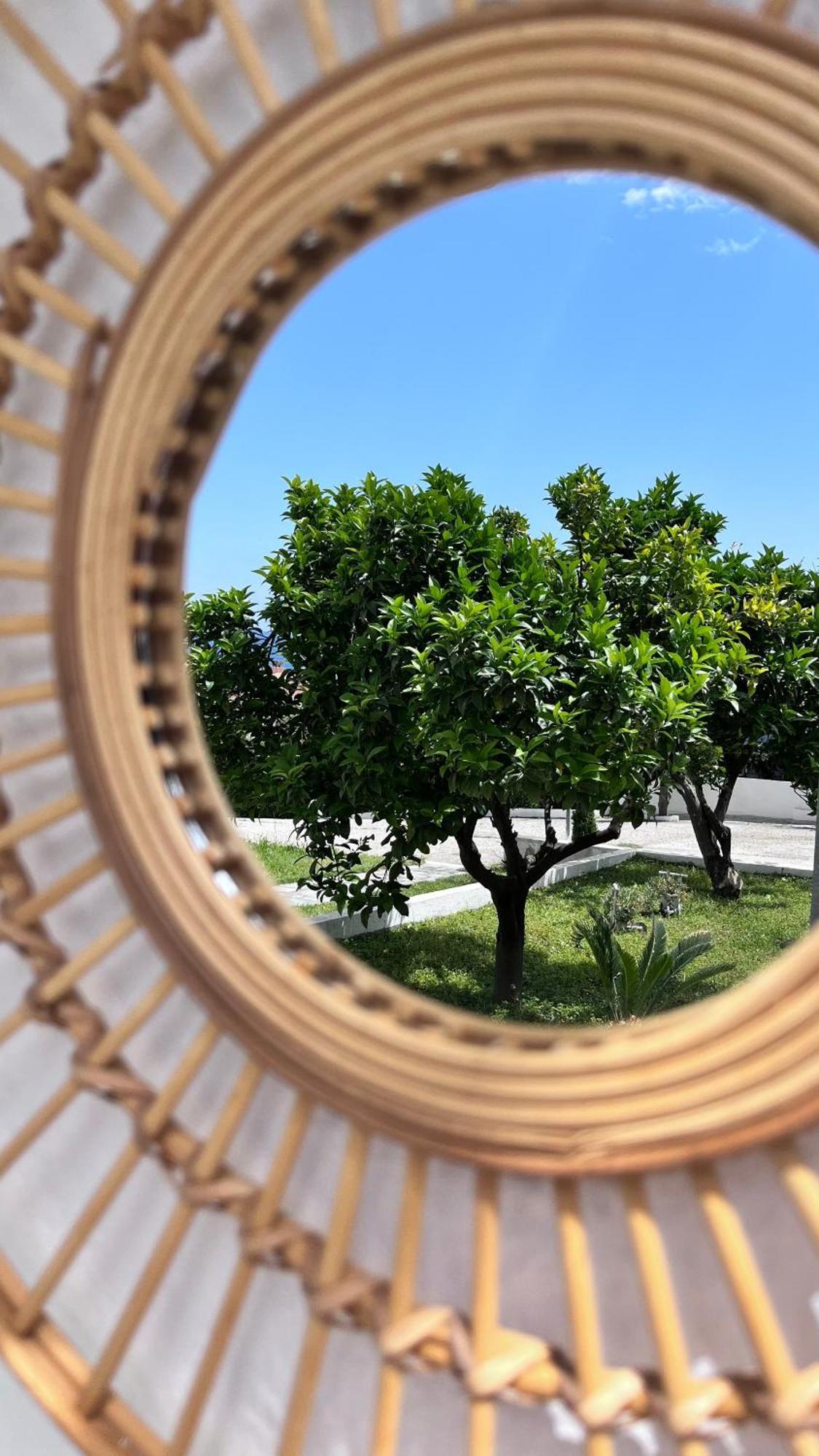 شقة Zoel'S House In Chalkidiki أغيا باراسكيفي المظهر الخارجي الصورة